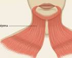 Firming & Shaping the Neck, Eradicating the Double Chin & Lifting the Bottom of the Face